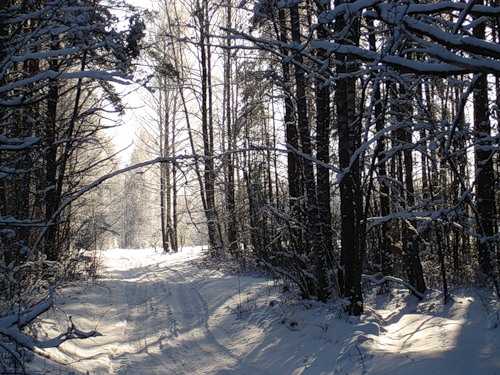 Зимняя дорога от Заполья к Замочулью.jpg