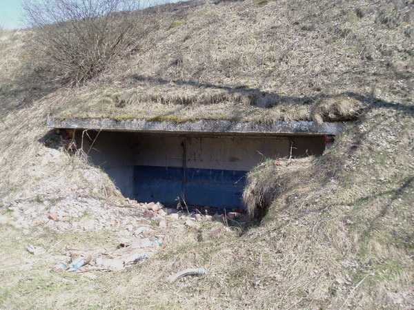 ниши.jpg