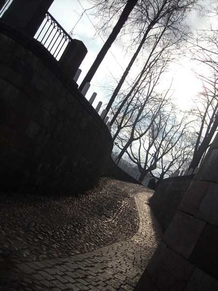 DSCN5403.JPG