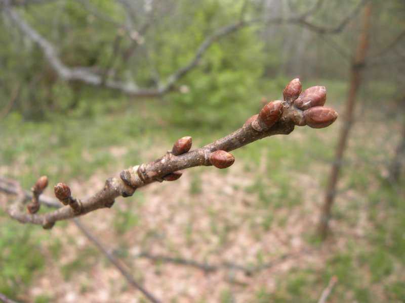 DSCN6287.JPG