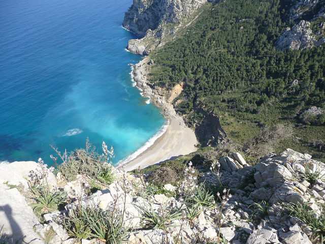 getImage (2).jpg