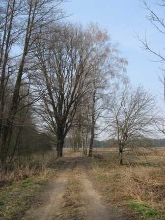 IMG_0095.JPG