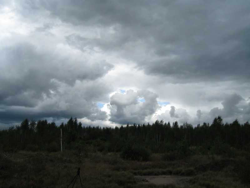IMG_0806.JPG