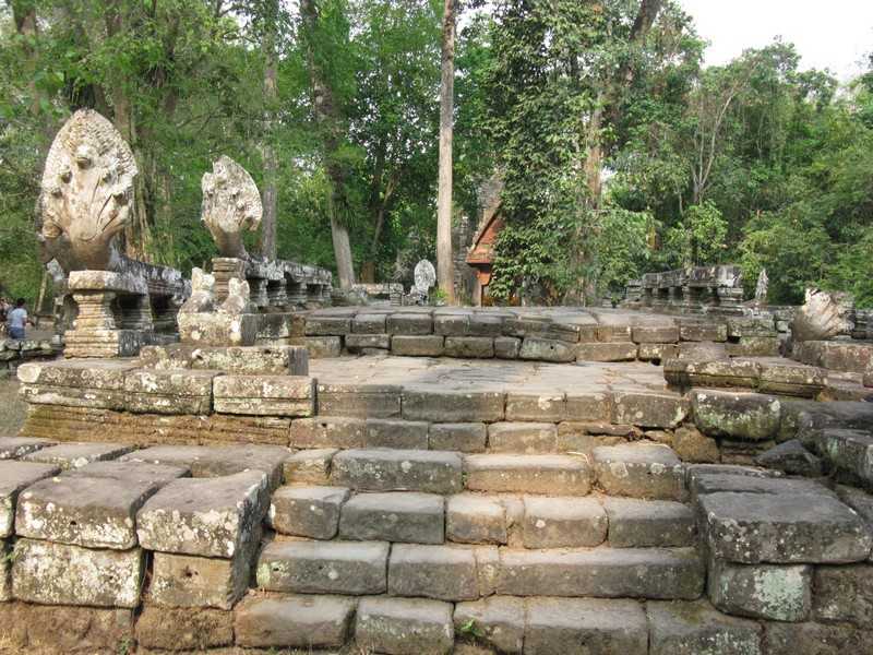 IMG 2078.jpg