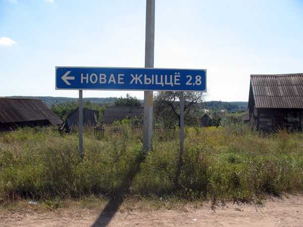 IMG_8979.jpg