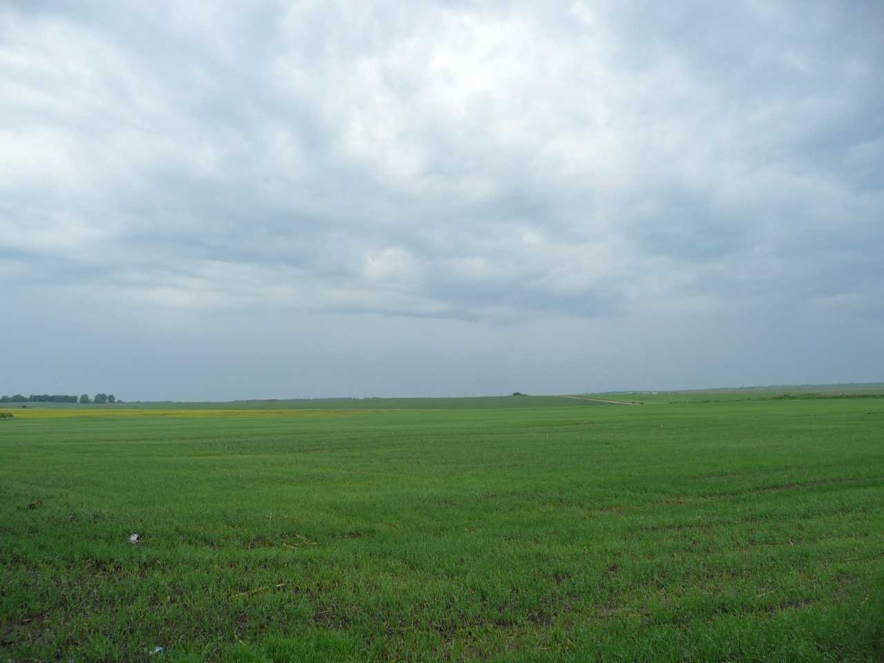 P1040085.jpg