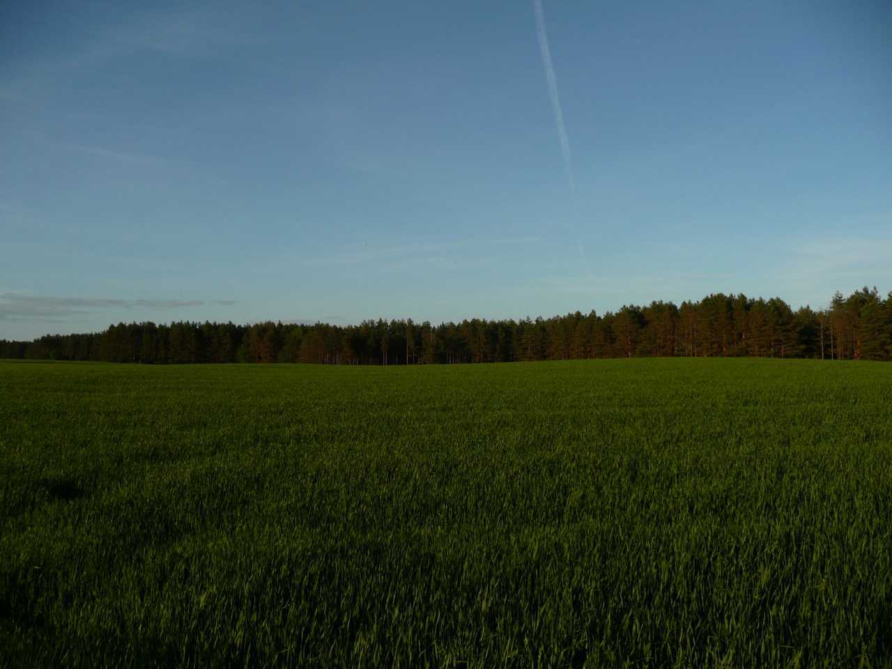 P1040334.jpg