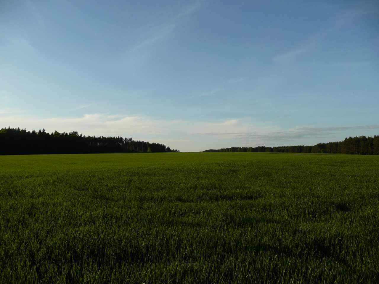 P1040335.jpg