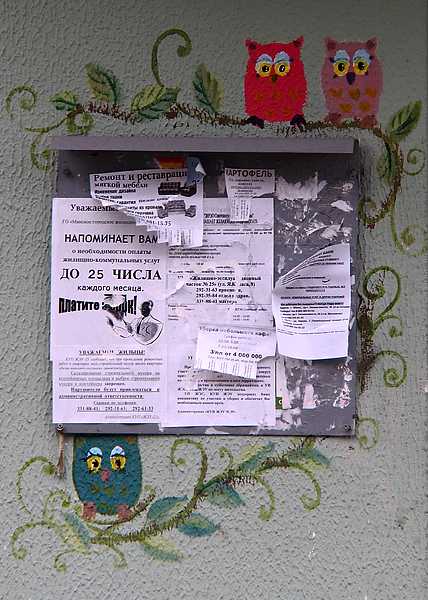 P1119674(1).jpg