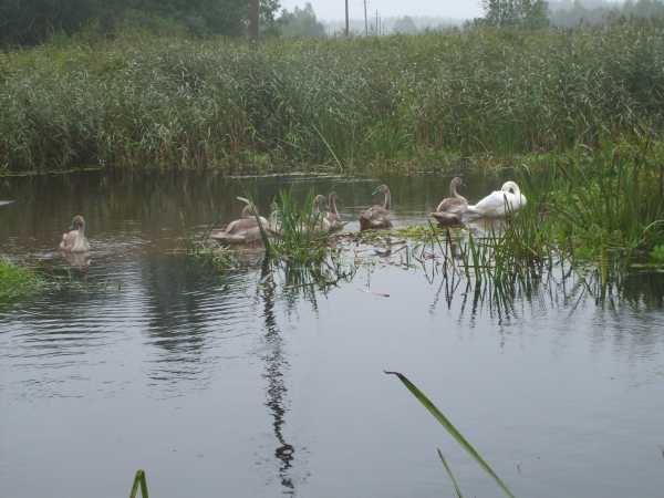 S5003467e.jpg