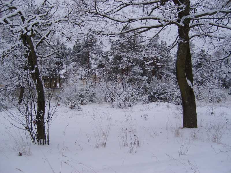 S6001095.JPG